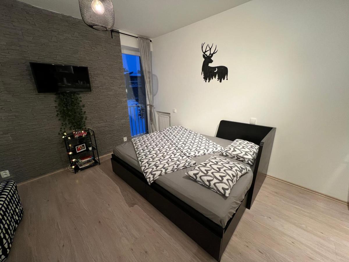 New Nelis Apartment Klinovec Loučná pod Klínovcem Exterior foto